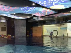 -ABC Swim亲子游泳俱乐部(河西店)