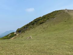 -大姆山草场