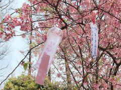 -粤仔湾砂锅粥(金太湖店)