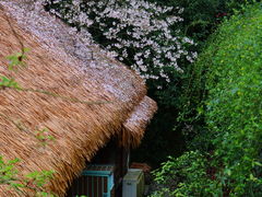 -中国茶叶博物馆(双峰馆区)