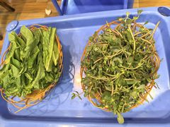 -杨记山珍鸡煲菌汤锅