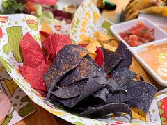 -Famous肥猫墨西哥音乐餐吧(五棵松华熙LIVE店)