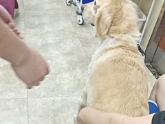 -美联众合动物医院·24h转诊中心