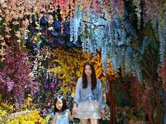 -正佳雨林生态植物园