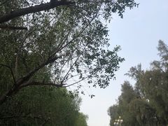 -宝安西湾红树林湿地公园