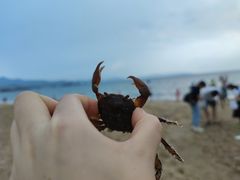 -玫瑰海岸文化旅游度假区