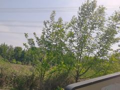 -桤木河湿地公园