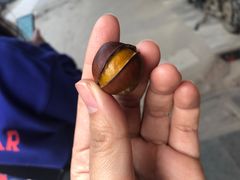 -杨记板栗(天虹总店)