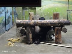 -上海野生动物园