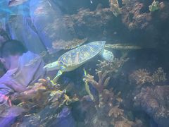 -华夏文旅西安度假区