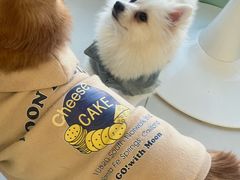 -怪兽屋·羊驼·猫咖·狗咖(俊华广场店)