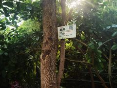 -呀路古热带植物园
