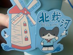 -猫的天空之城概念书店(北戴河蔚蓝海岸店)