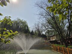 -太阳宫公园