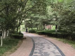 -名士豪庭