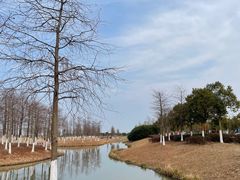 -春花秋色城市公园