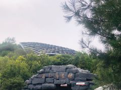 -北京周口店北京人遗址博物馆