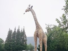 -西霞口神雕山野生动物世界