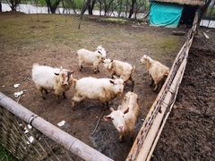 -长兴太湖图影湿地文化园