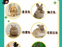 -博特宠物医院24h犬猫全科.骨科·异宠
