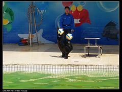 -西安秦岭野生动物园