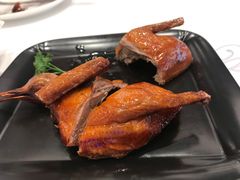 -粤珍轩·家宴·广式茶点(新城广场店)