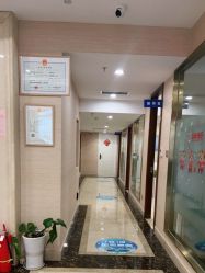 -碧莲盛·不剃发植发