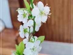 -七彩云南茶(七彩云南第壹城店)