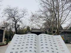 -大槐树寻根祭祖园