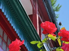 -北京师范大学附属中学