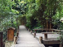 -成都市活水公园