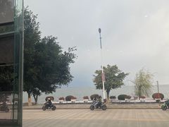 -野菌皇海景野生菌火锅(滨海大道店)