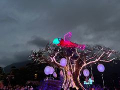-珠海长隆海洋王国