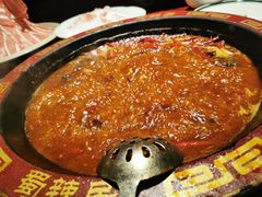 -蜀辣居鲜货老火锅(双流万达店)