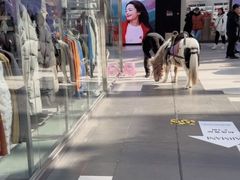 -王府井奥莱棋盘山小镇