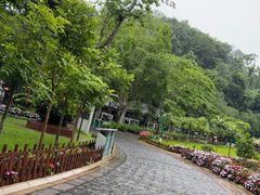 -野象谷景区