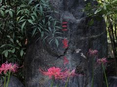 -西安大兴善寺