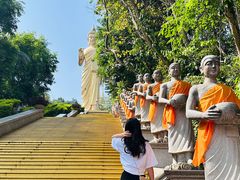 -西双版纳勐泐文化旅游区