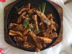 -真定郝家排骨(正定县总店)