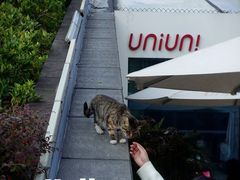 -UNIUNI(凯瑟琳广场店)