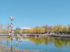 -中关村生命科学园