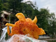 -雅安上里古镇