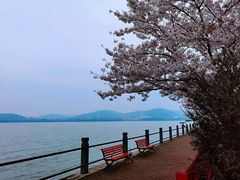 -无锡蠡湖国家湿地公园-蠡园