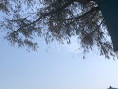 -马銮湾景区