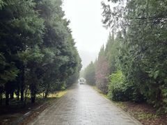 -秦始皇帝陵博物院-丽山园
