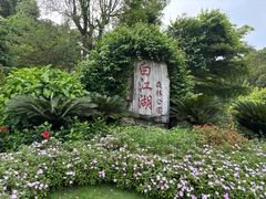 -广州白江湖森林公园