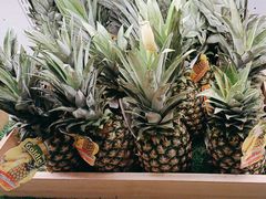 -东吴水韵(吴中店)