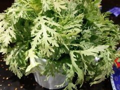 -成都老码头火锅(旺角店)