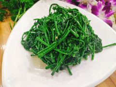 五指山野菜-刘记糟粕醋海鲜烧烤