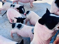 -水上乐园·欢乐世界